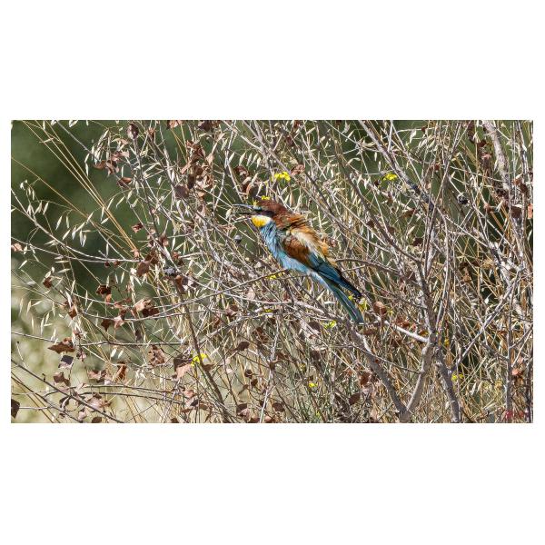 PHOTO84, CLUB, 84 , LUBERON